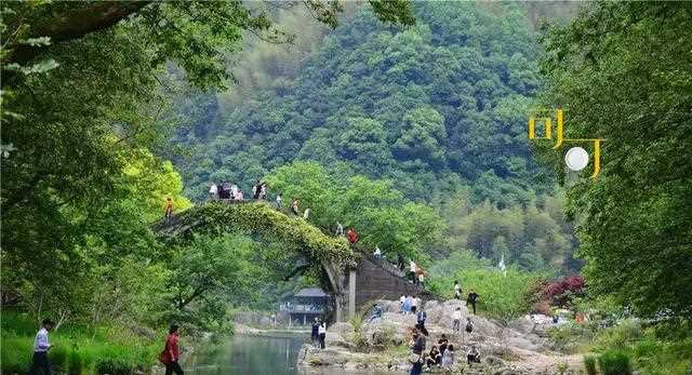 前些天去了一趟余姚四明山里的中村,发出来很多粉丝都说想去那里看看