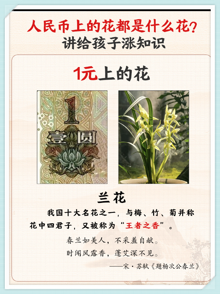 终于有人将人民币上的花全讲明白了,并且还做好了分类,看完之后,真是