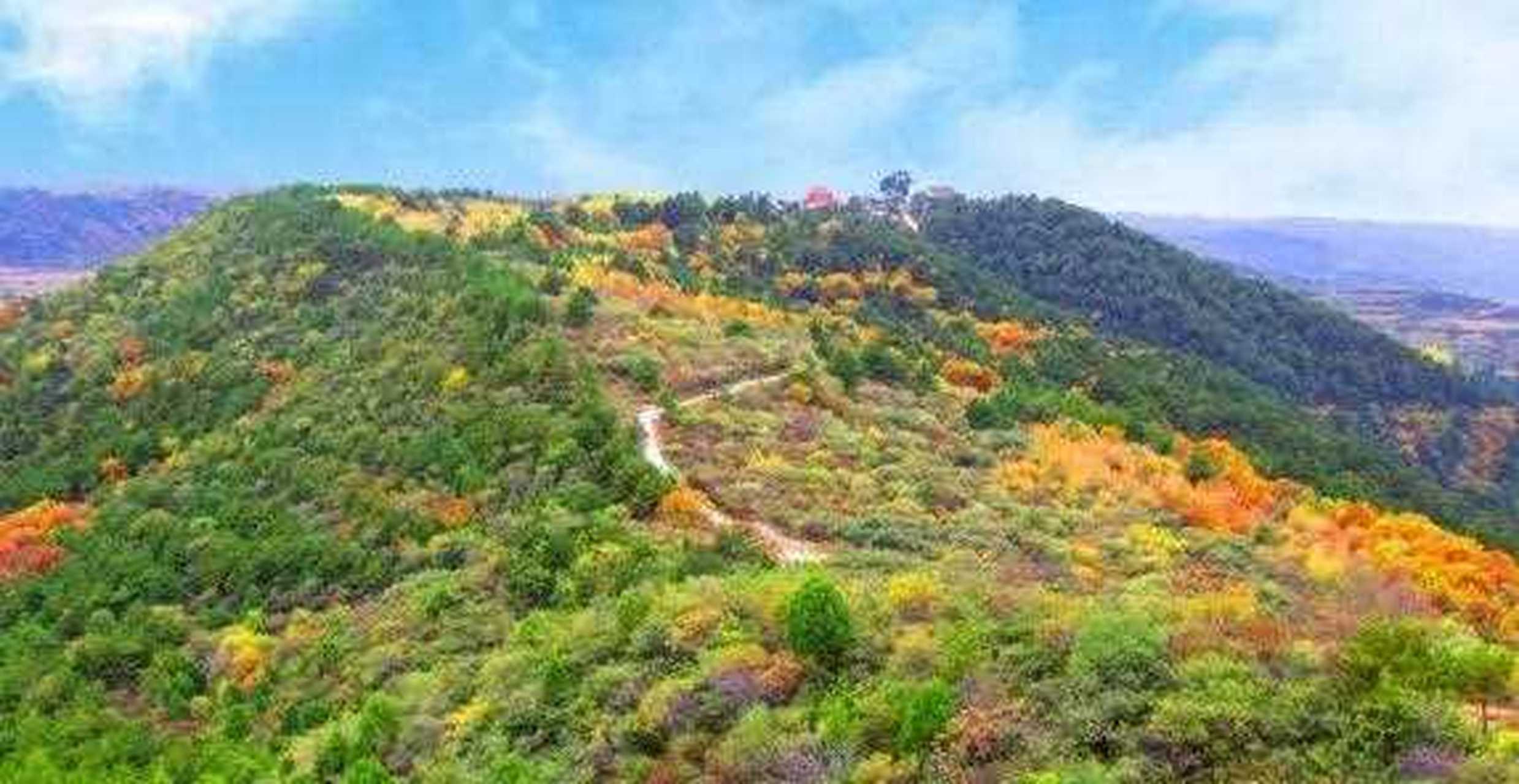 陕西延安黄龙县是陕西省五大林区之一,被誉为陕北黄河绿洲,天然氧吧.