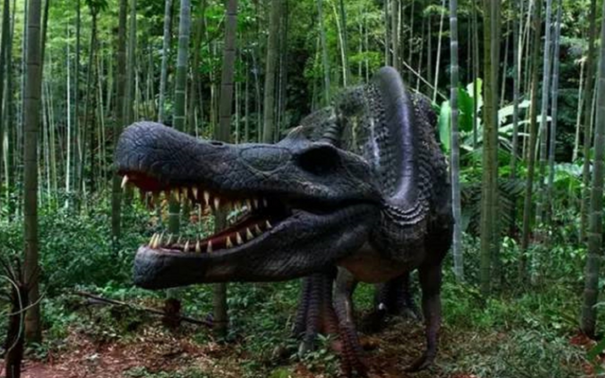 重逢巴蜀# 中华侏罗纪公园是中国西南地区一处独特的旅游胜地.