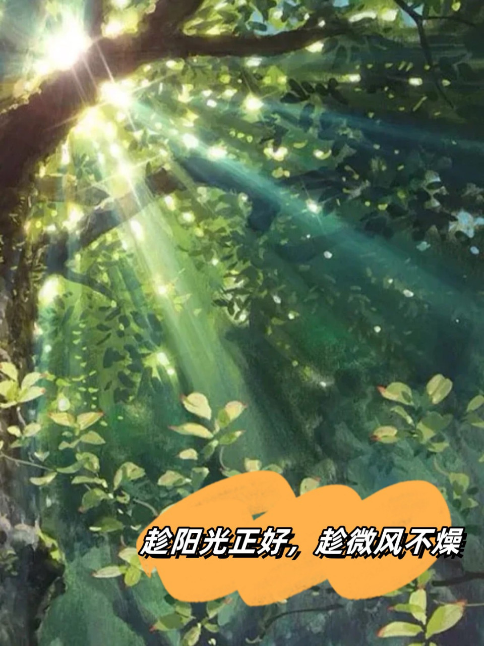 趁阳光正好,趁微风不燥  杨绛曾写道:阳光正好,微风不燥,不负时光,不