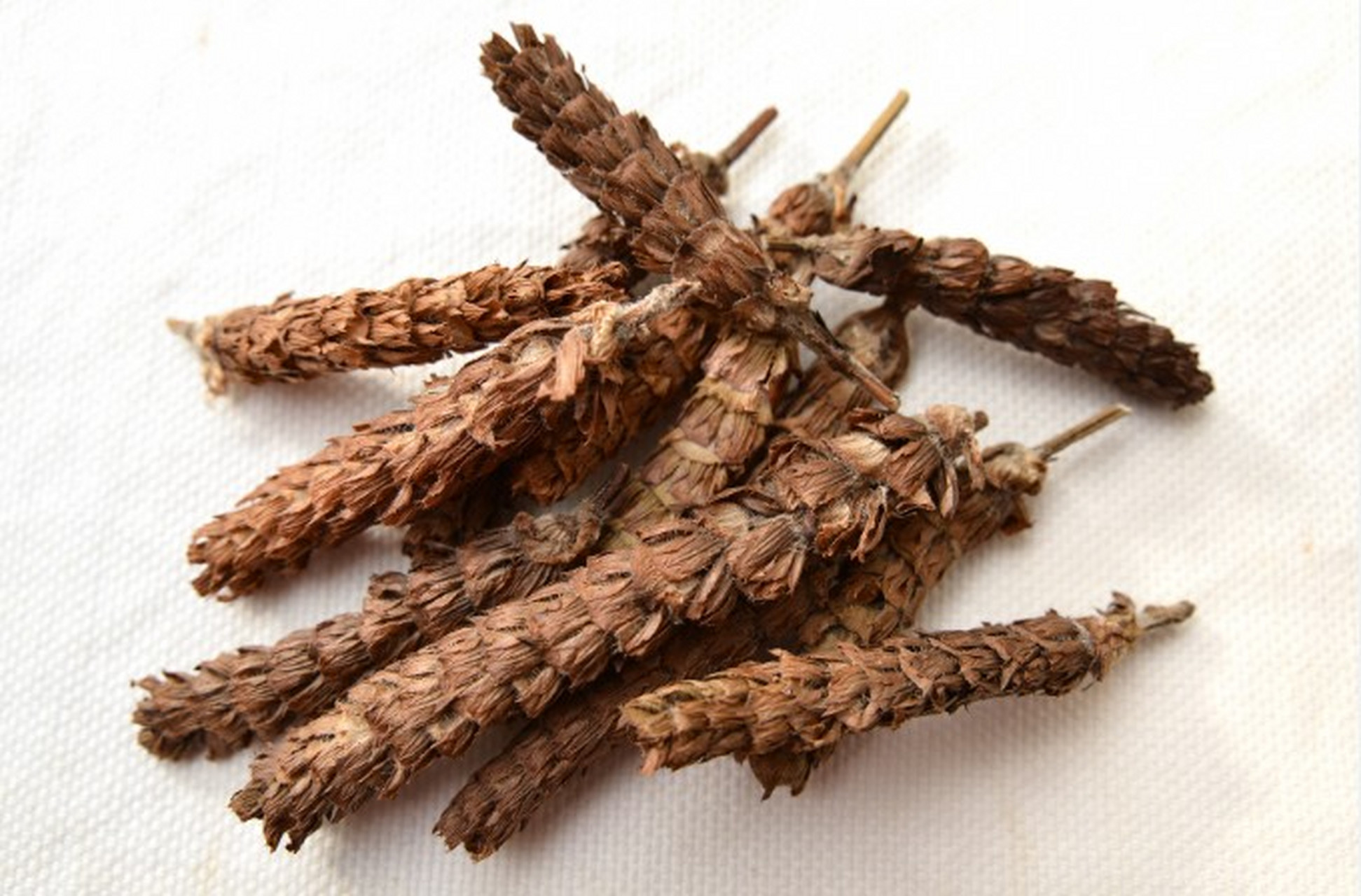 【几种中药材有效降低血压】#高血压#  【夏枯草】 是一种较为常见的