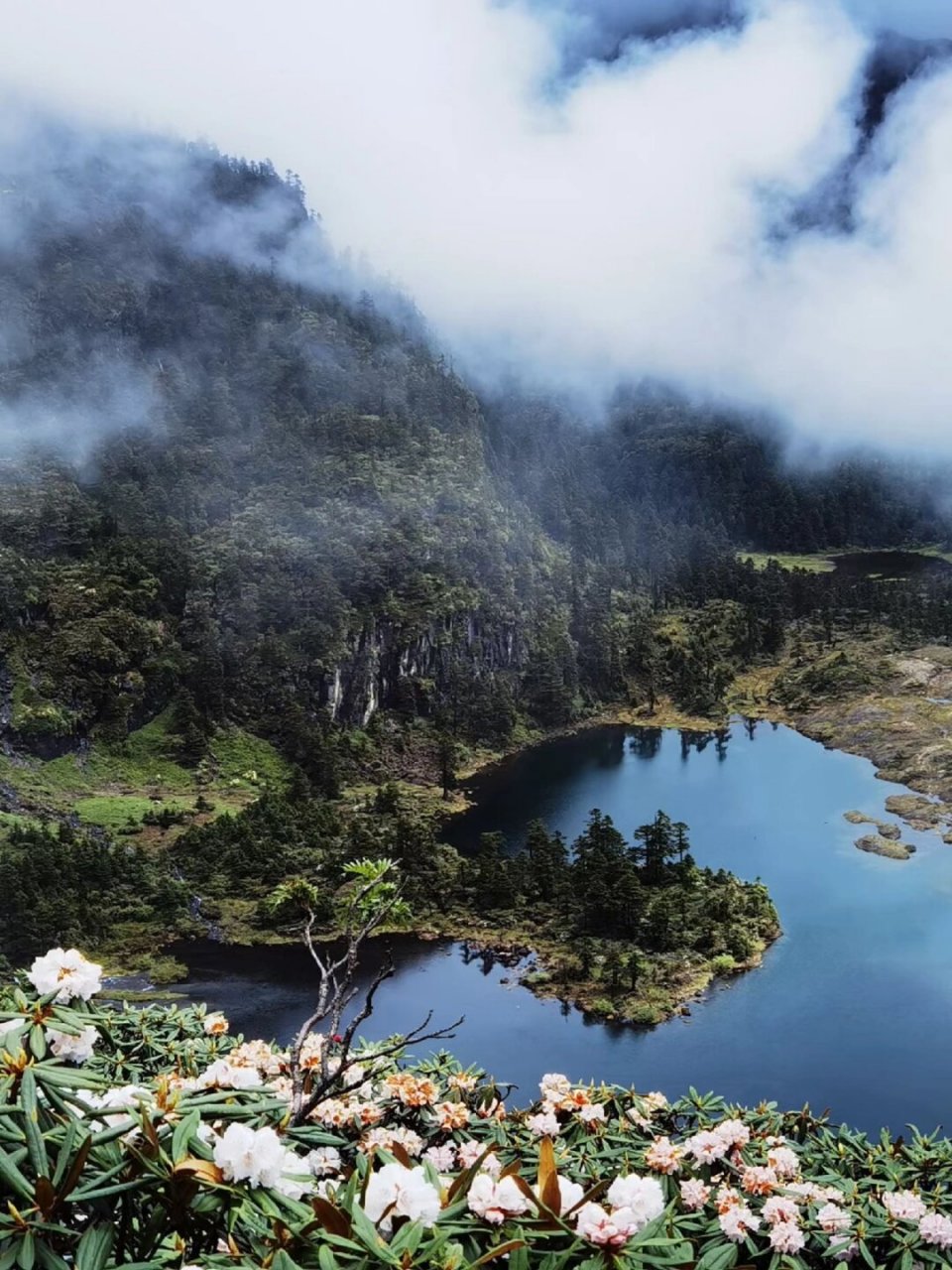 南极洛 一个每个季节都美到窒息的地方  南极洛位于云南省维西傈僳族