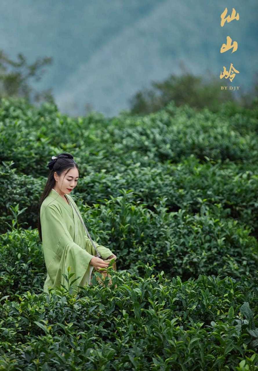 仙山岭是江西铅山武夷山镇乌石村的一个自然村,也是由闽入赣第一村.