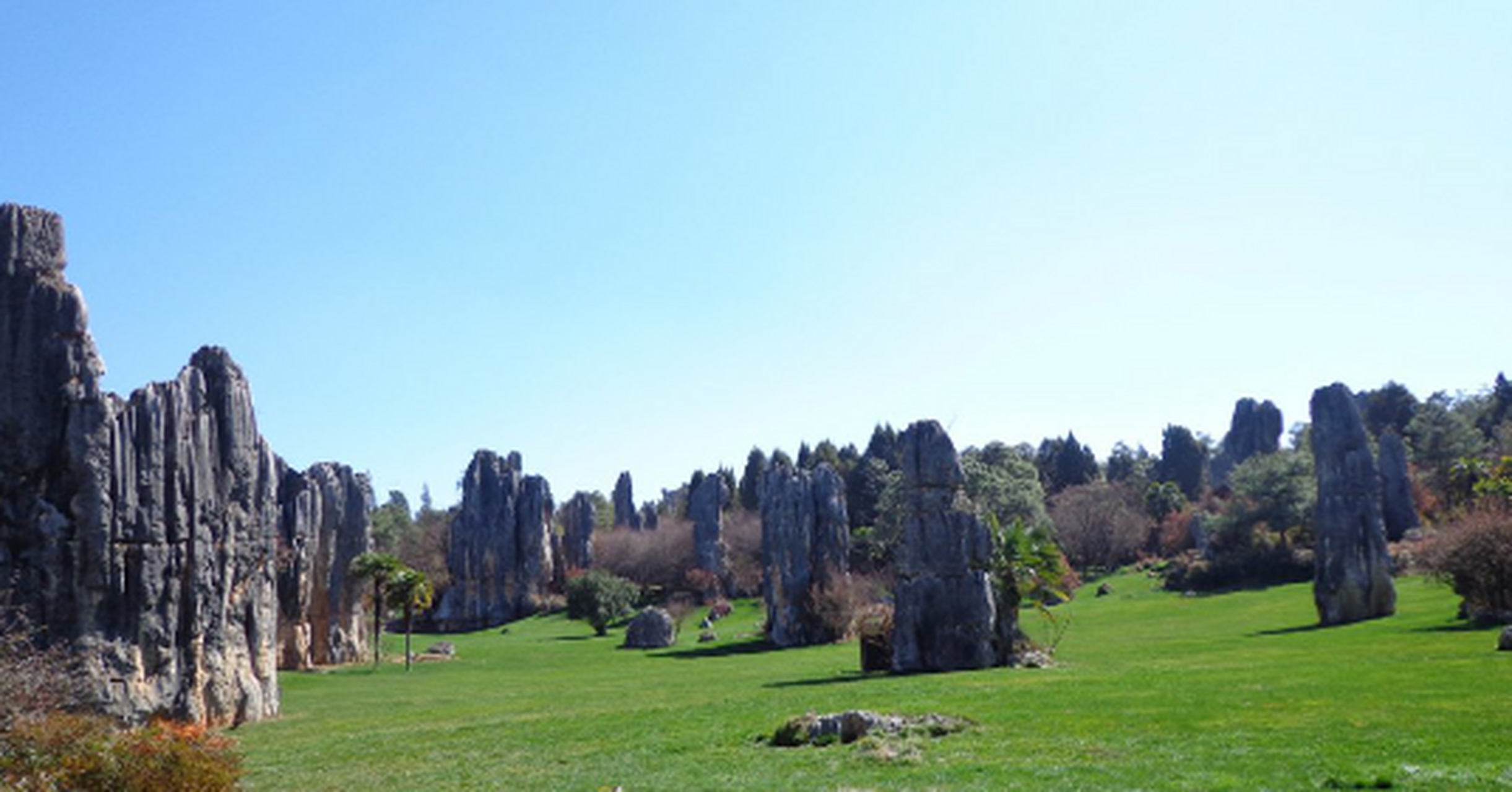 "  国庆长假,我兴致勃勃地踏上了一场美妙的旅行.