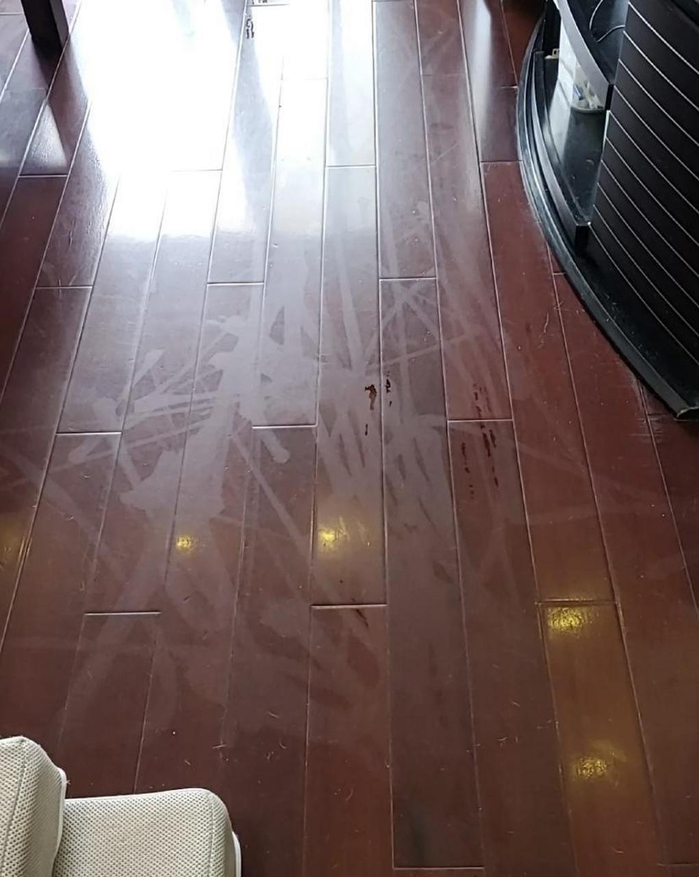一个朋友发我的图片赶着活动买的蒸汽拖把,结果把家里的实木地板被