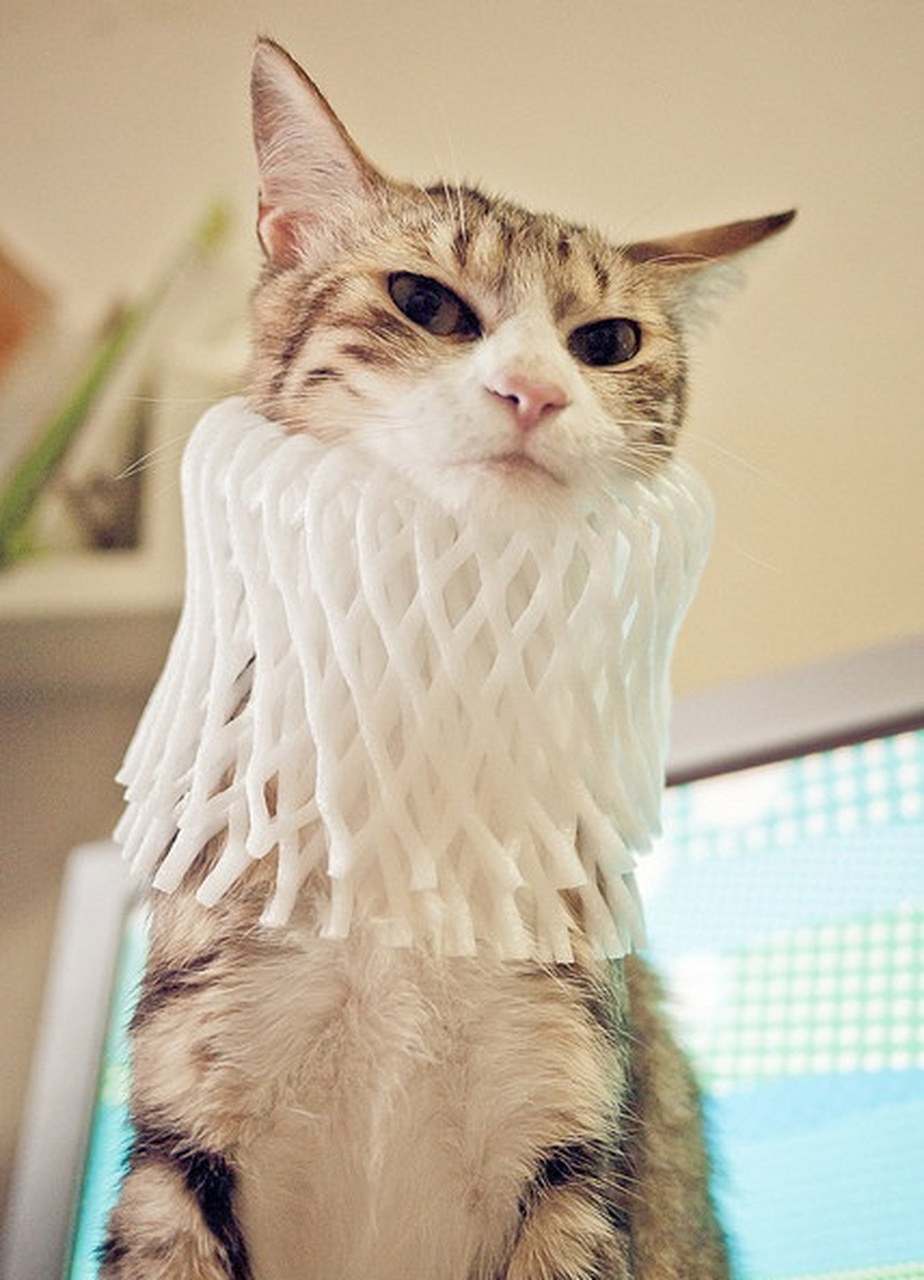 来一波搞笑动物图~偶的新围脖~ 肿么样,漂亮吧?