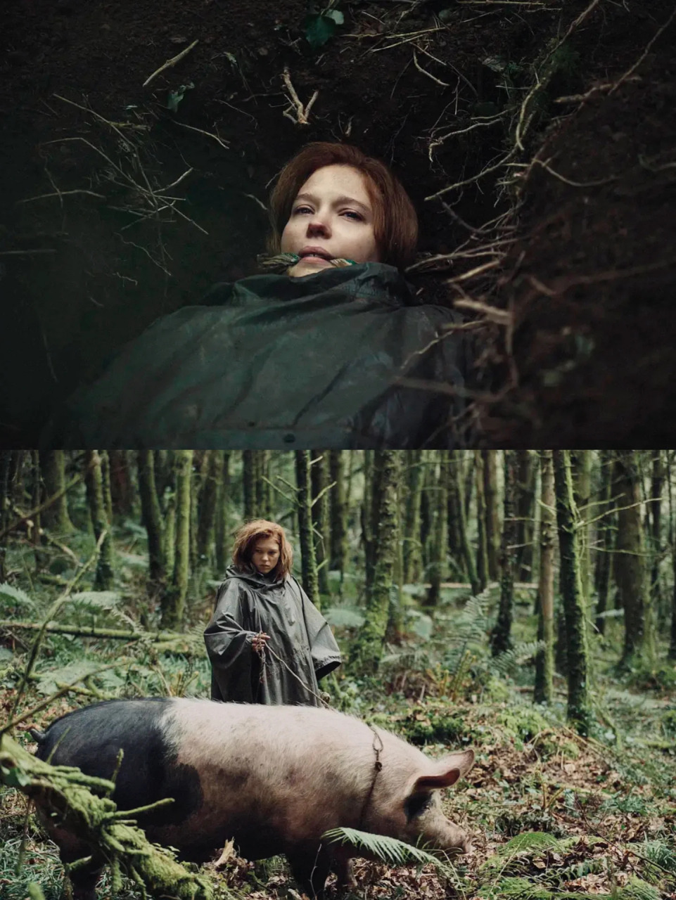 看完这部电影,突然就不想谈恋爱了 电影《龙虾》构建了一个充满奇幻