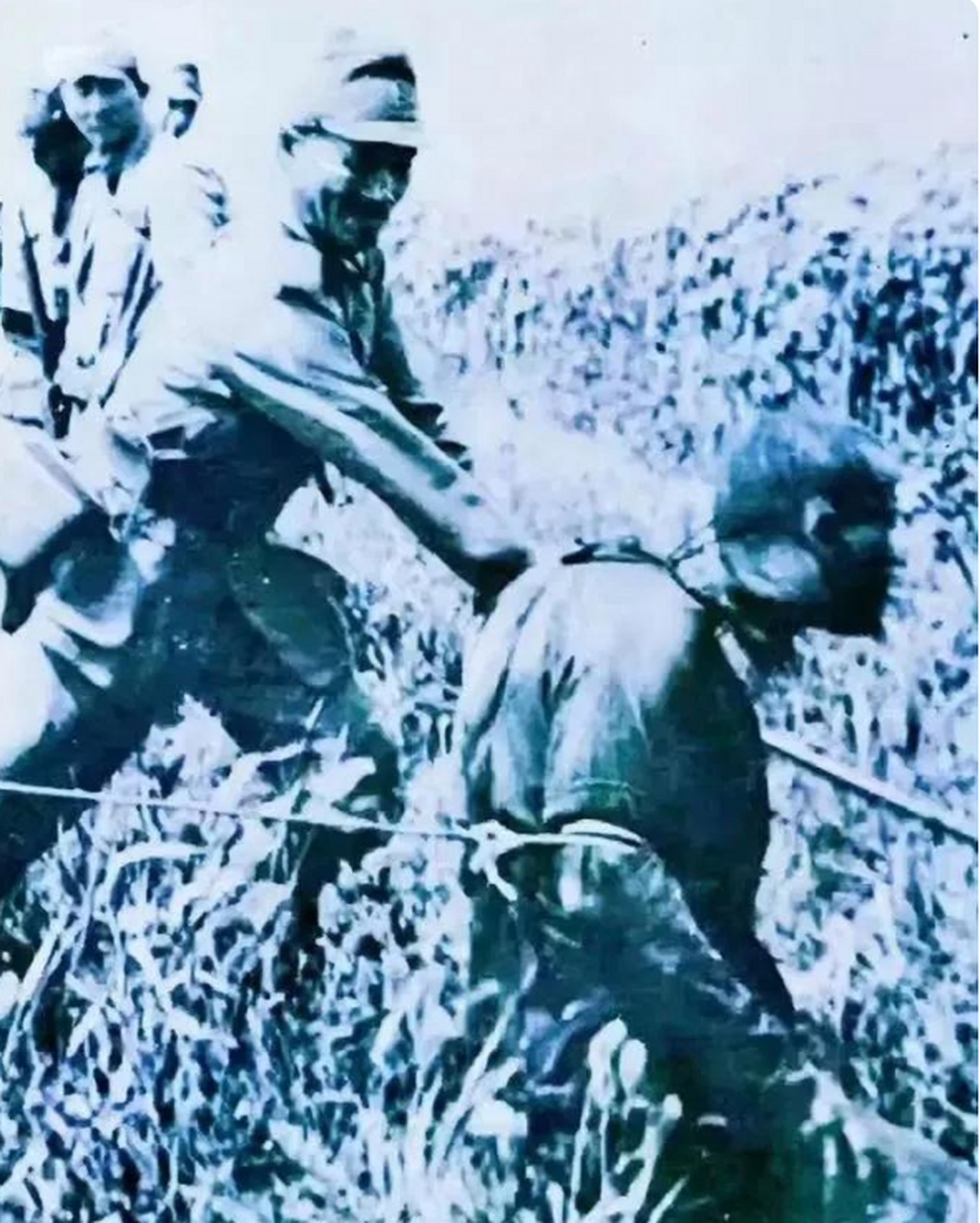 日本鬼子残杀八路军图片
