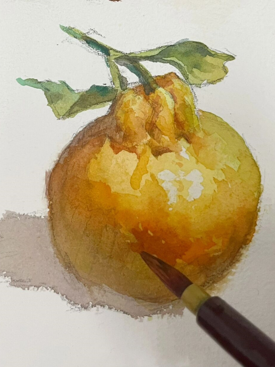水彩静物—橘子  水彩静物单体步骤:橘子