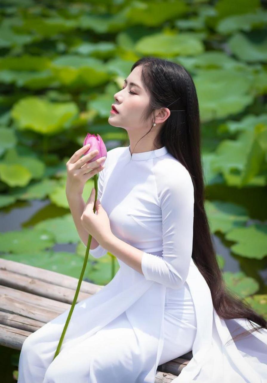 清新美女:穿着纯白色的奥黛,在荷塘里拍写真,画面清新又唯美