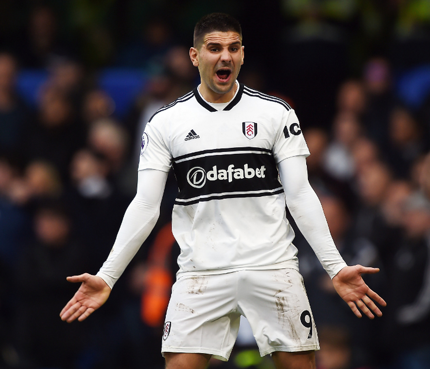 米特洛维奇加盟利雅得新月48小时内宣布,转会费约5800万!