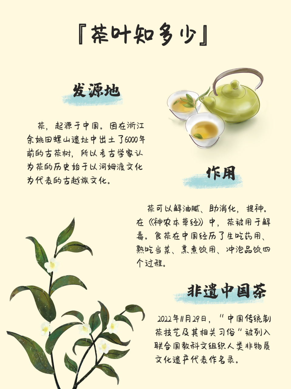 茶叶生长过程描述图片