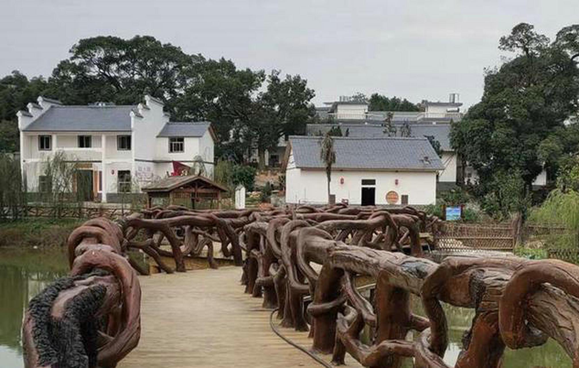 井心村是一个秀丽如画的小山村,距离县城约11公里,"红,古,绿"三色交