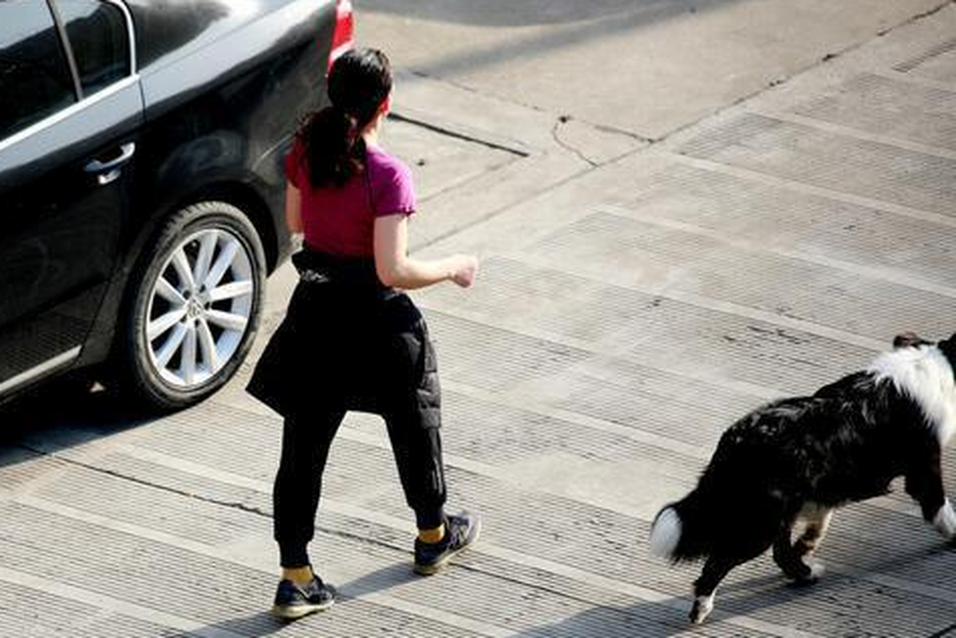 最近在社交网络上看到一个视频,一个女子遛狗不牵绳,被巡逻的警察发现