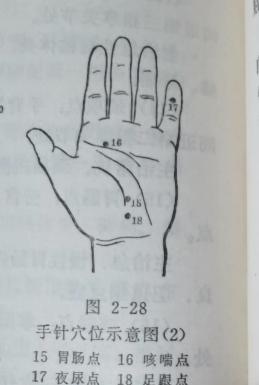 手上的夜尿点,胃肠点,咳喘点,足跟点  手上有很多穴位,根据自己身体的