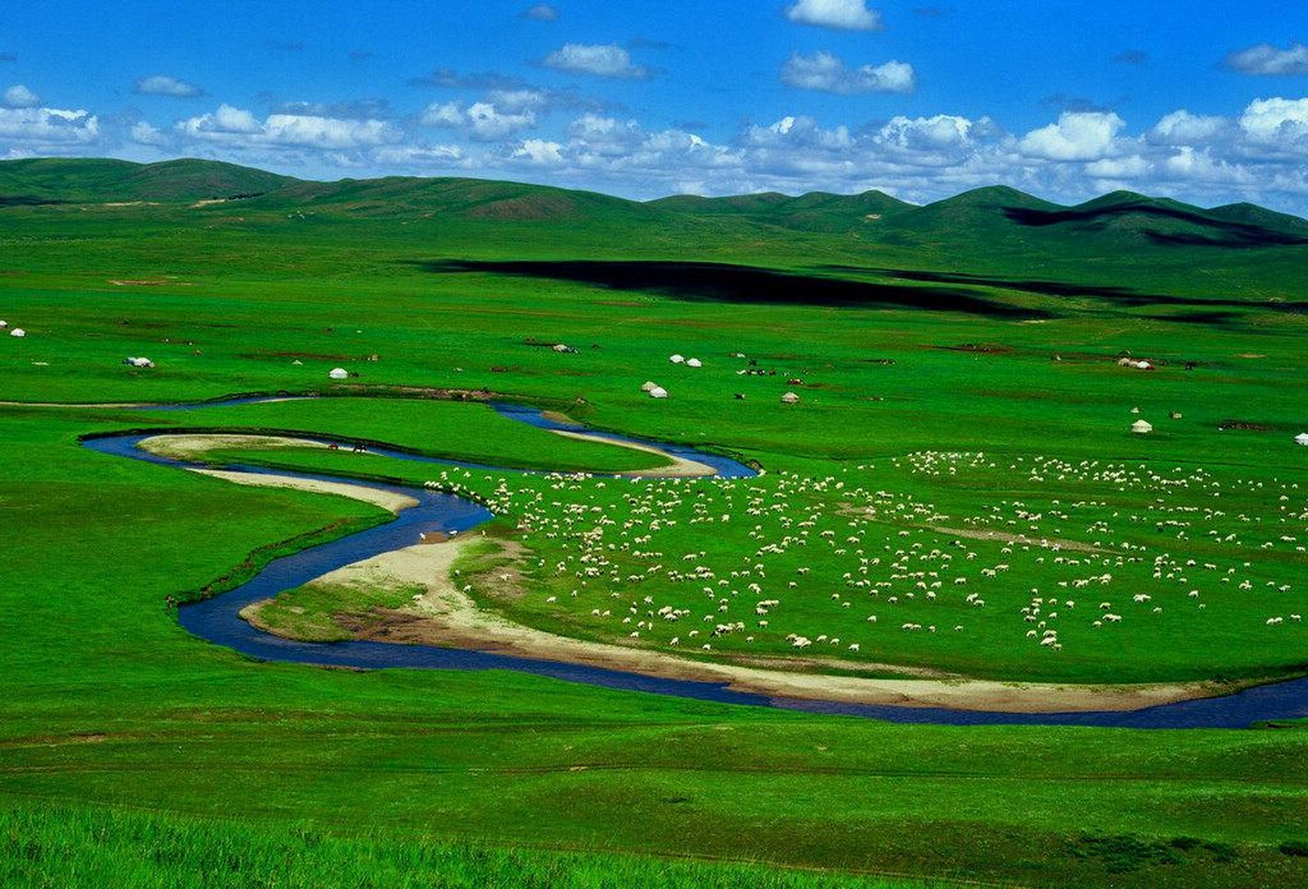 夏天去额尔古纳湿地,这里是蒙古族的发祥地,额尔古纳河从中蜿蜒穿过