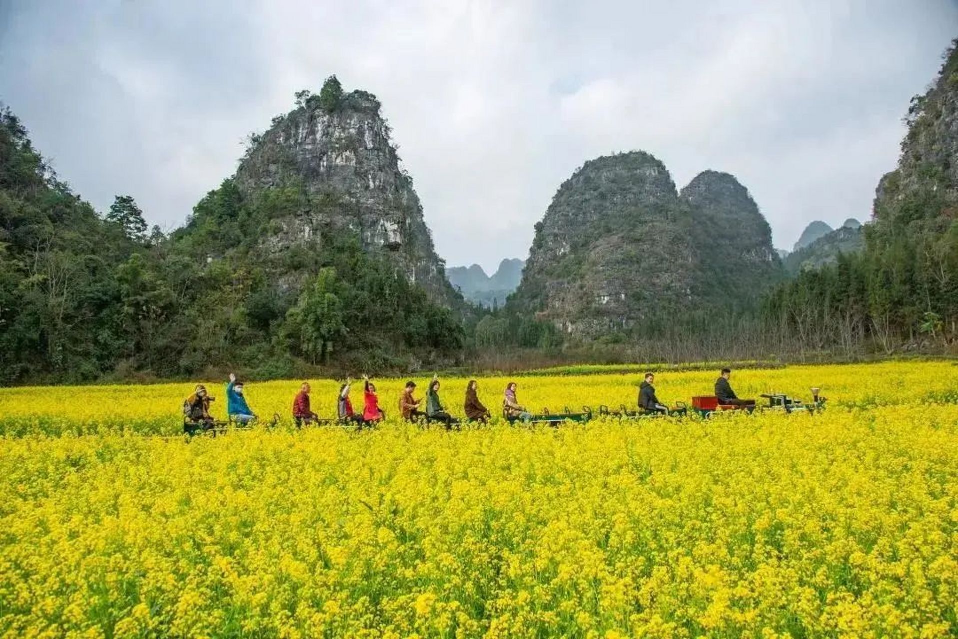 兴义油菜花最佳地点图片