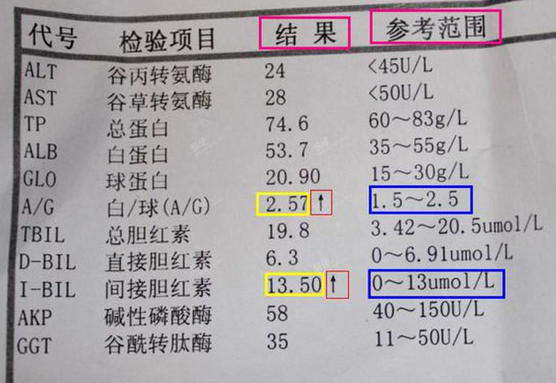 甲胎蛋白怎么检查图片