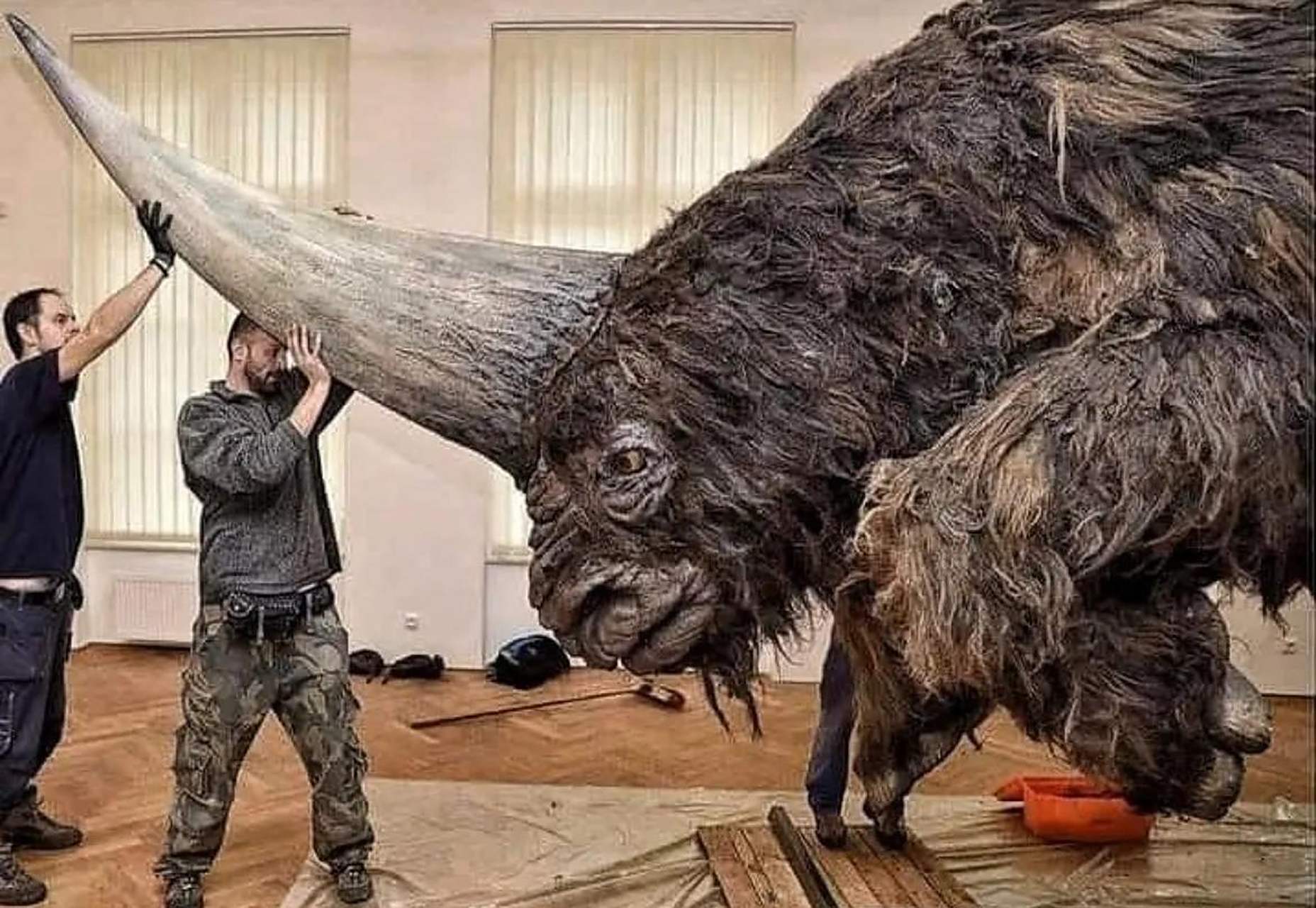 一只史前的板齿犀(elasmotherium),也被称为西伯利亚独角兽灭绝于3