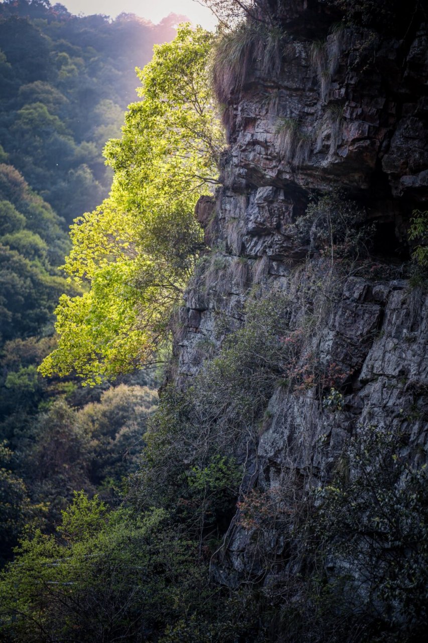 午潮山 杭州西山森林公园里的一处秘境  这次我们选择的是小环线,具体