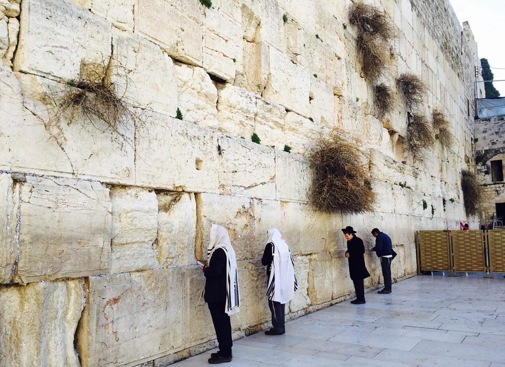 马云游览耶路撒冷的著名哭墙时,照片中的他戴着小白帽,按照习俗扶着