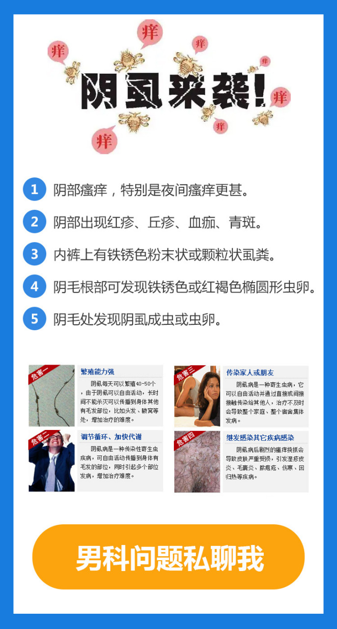 为什么会长阴虱