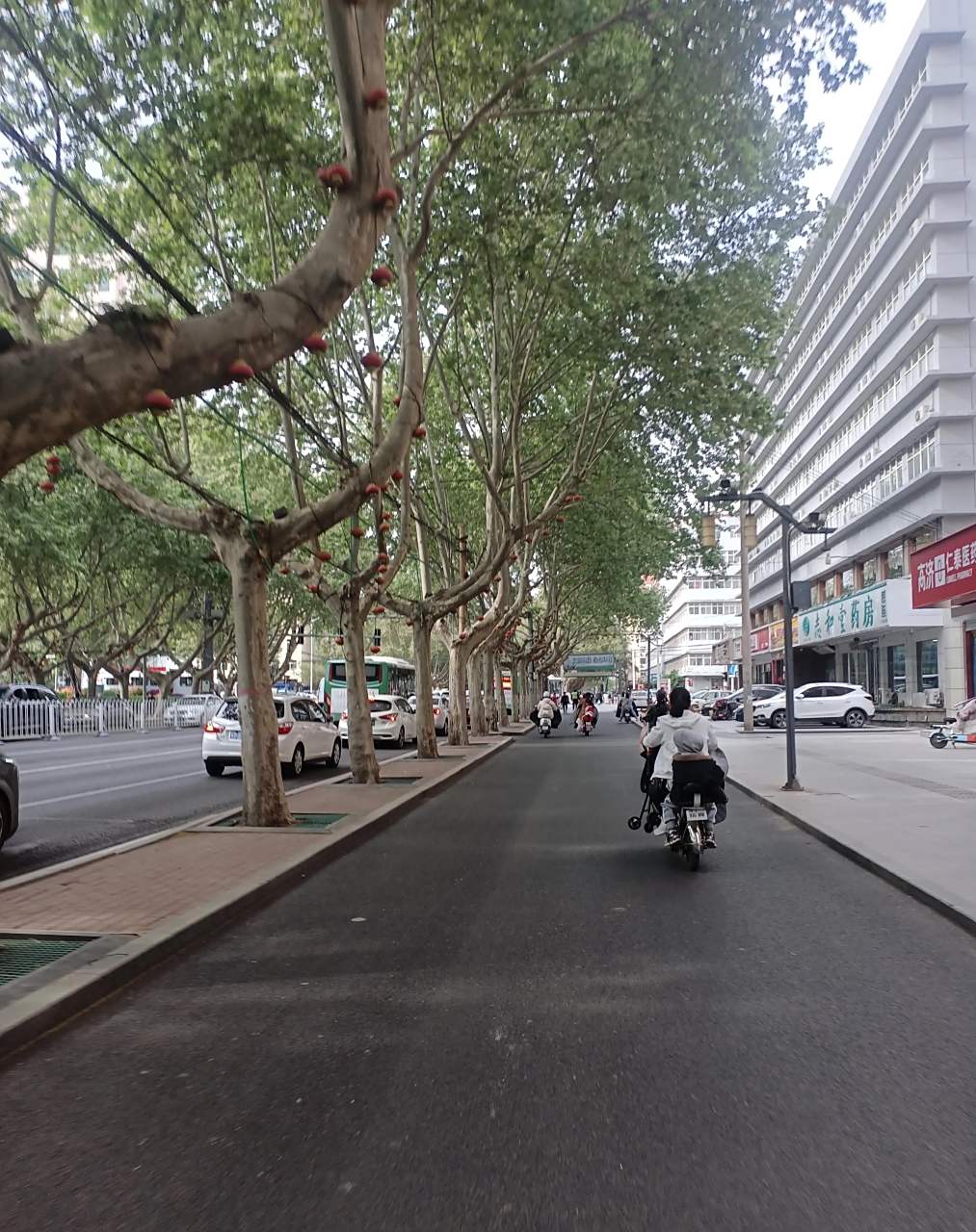 邯郸街景随手拍 邯郸的马路边,很安全.