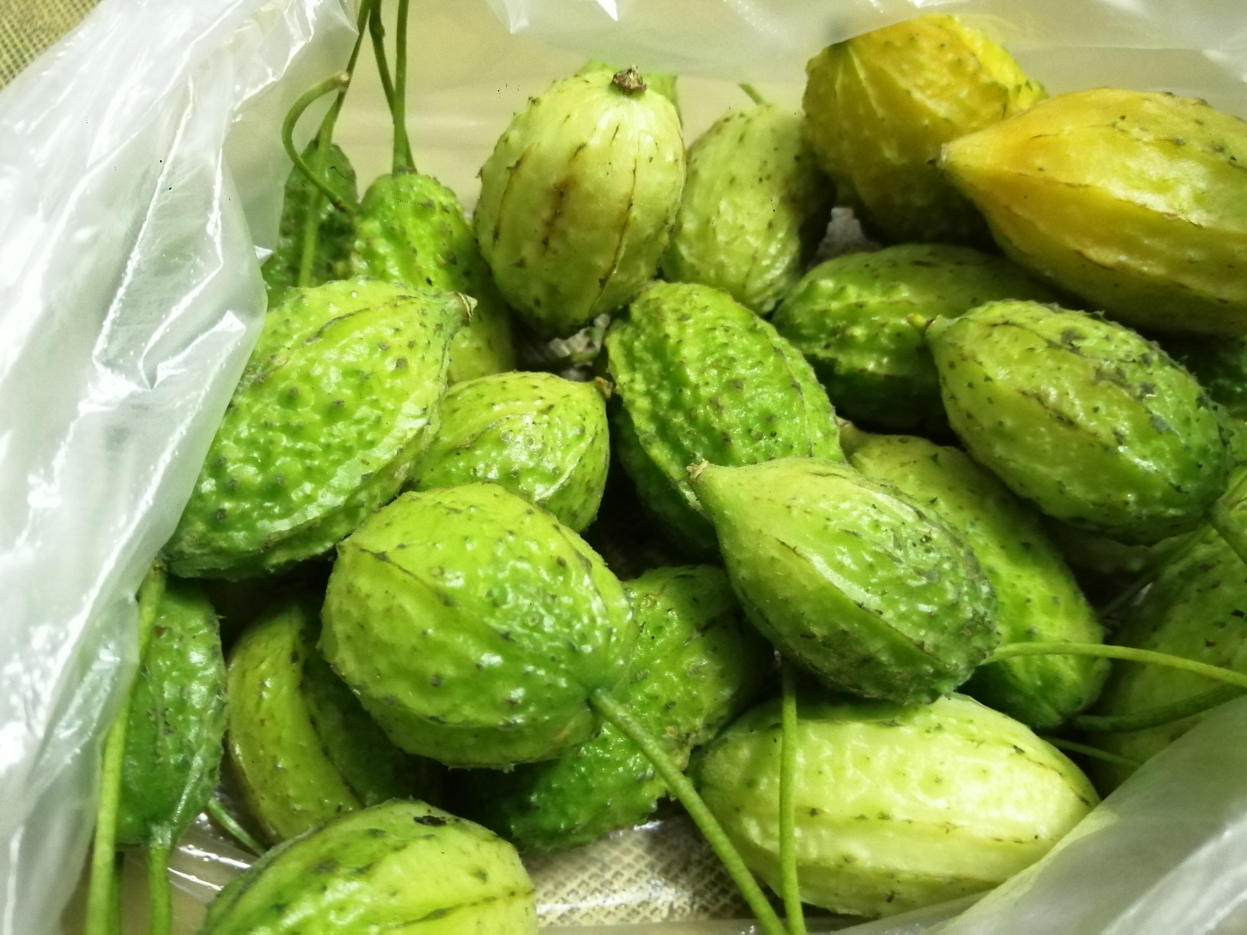 吃完饭,实在是很喜欢那些生态菜,就买了野苦瓜,土黄瓜和茄瓜,小南瓜