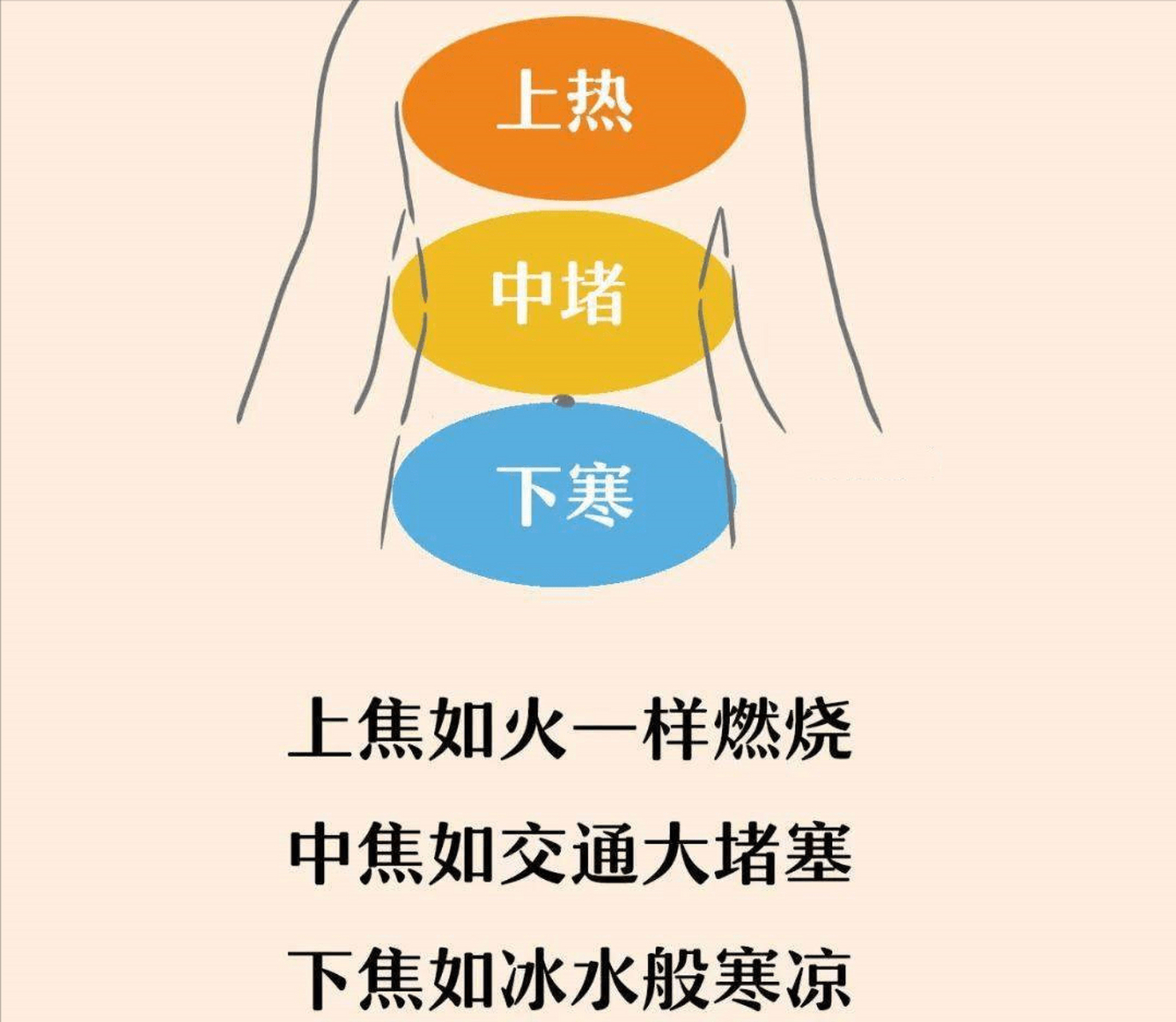 上焦是指哪些部位图片图片