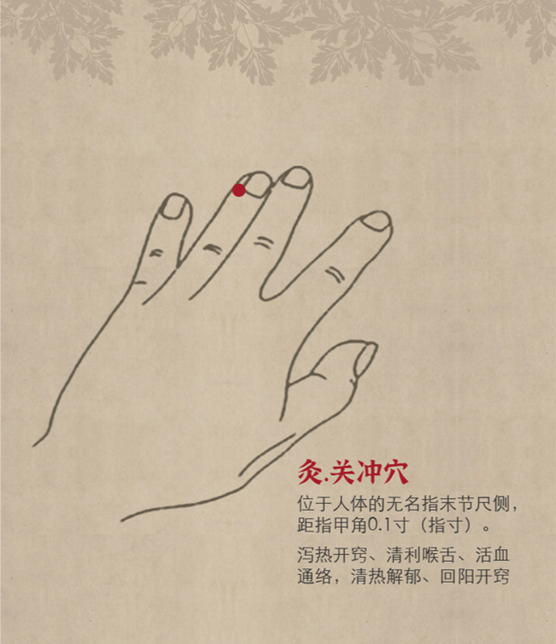 关冲穴属手少阳三焦经,也是三焦经的井穴,五行属金;关通"弯",此指无名