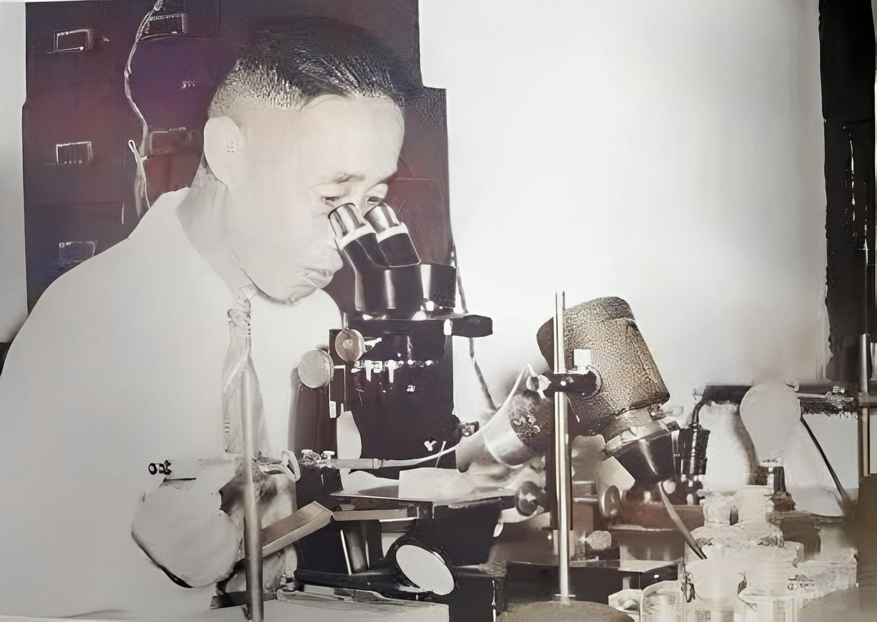 现在是六万五千! " 童第周是我国著名的生物学家.