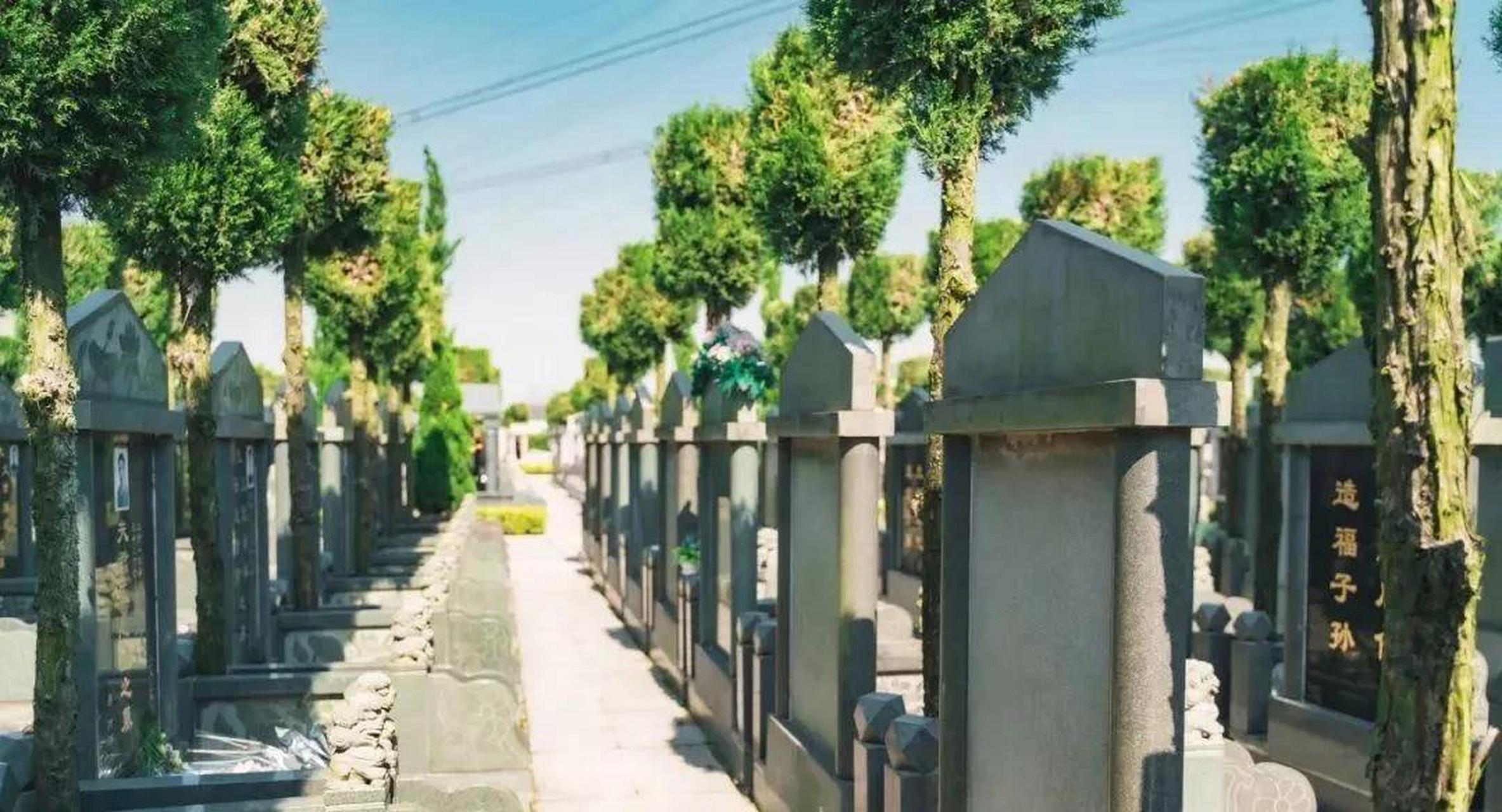 上海松鹤园开售新墓区,面积0.6平方米的单/双穴墓,售价34.