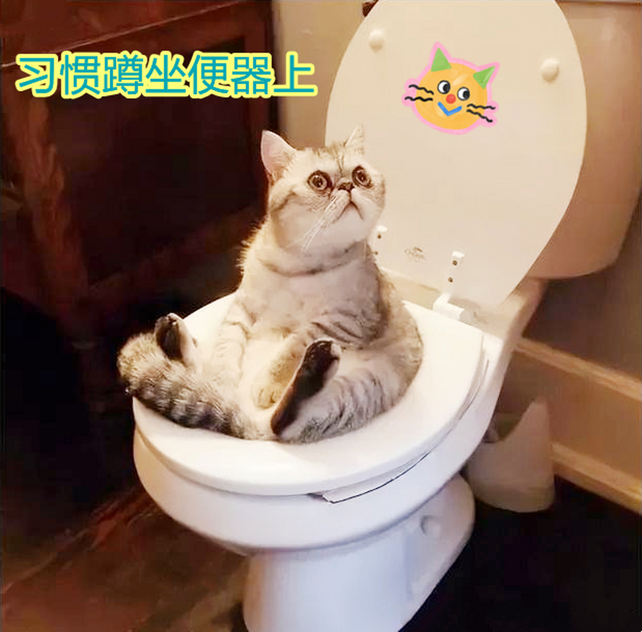 儿子解释婆婆习惯"蹲坑",不喜欢"坐",让儿媳喷点洁厕液就干净了