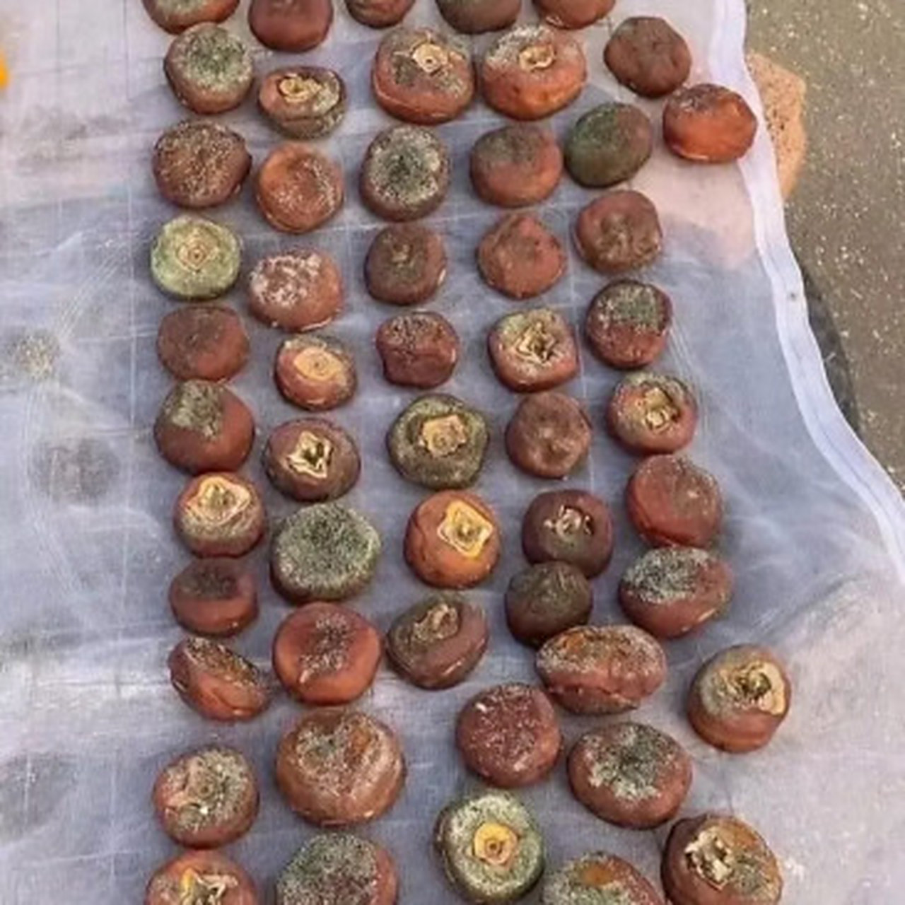 家里老人把柿饼拿出去晒晒,没想到晒发霉了,有没有人知道为什么会发霉