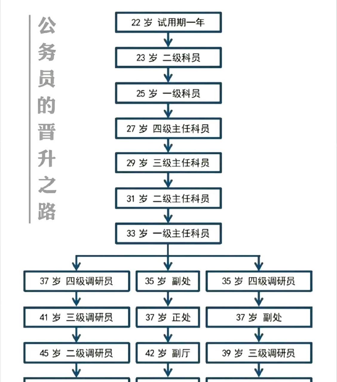 收藏了公务员晋升之路的信息.
