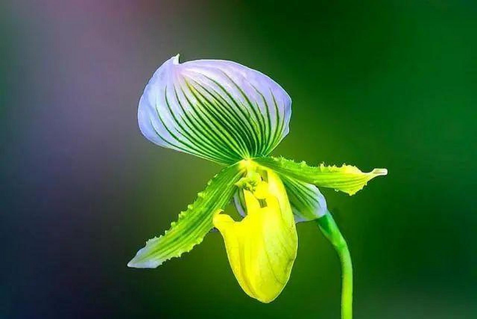 人不狠,站不稳,人做到三个狠心,早晚出人头地