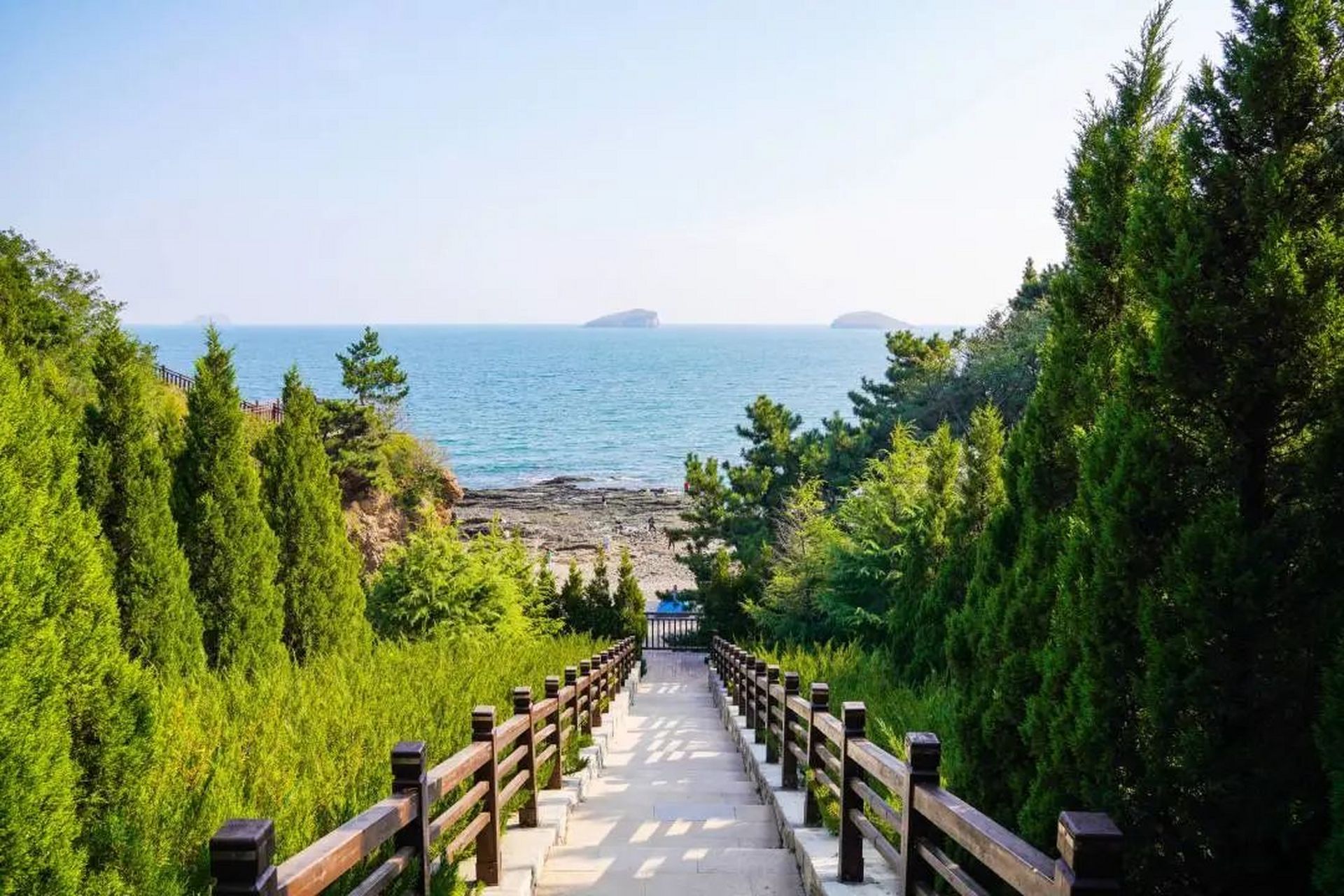 美好辽宁欢迎您##网红打卡地辽宁杠杠滴# 七贤岭森林公园