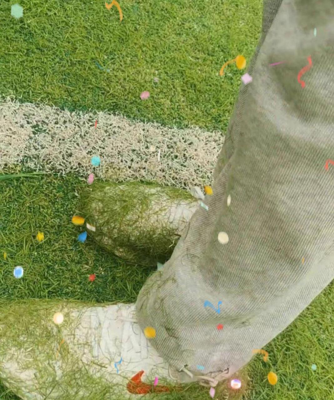 这鞋子也太沾草了吧 #搞笑趣味图