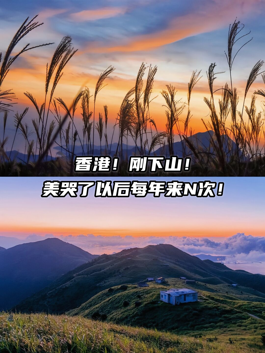 不是家人们谁懂啊 这么美的风景是真实存在的吗 也太治愈了叭