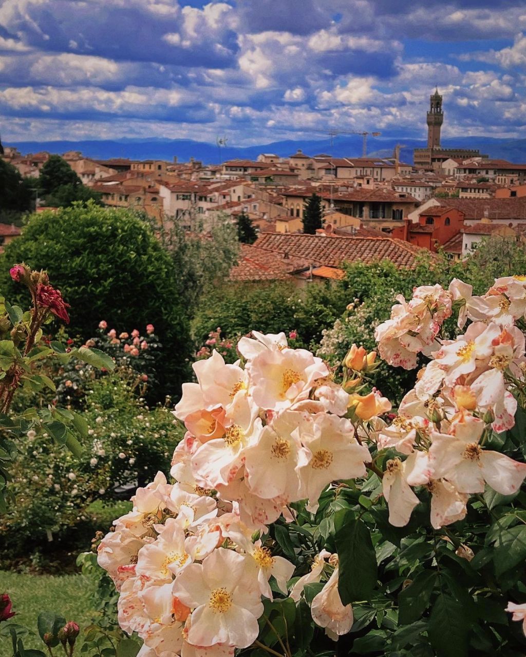 佛罗伦萨玫瑰花园|小镇 教堂博物馆看麻了就来看看佛罗伦萨的花园吧是