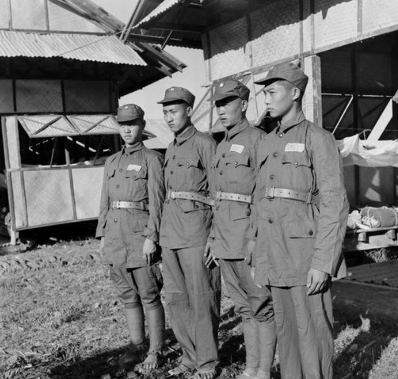 1950年,金三角的残军参谋长钱运周,接到一个史无前例的任务:运送一批