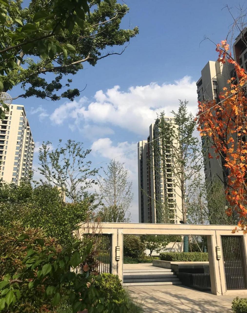 【齐润花园205户型,木工施工】 雨季过后的淄博,空气显的更干净了