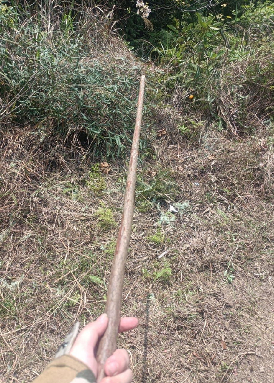 男生能拒绝这样一根棍子嘛?