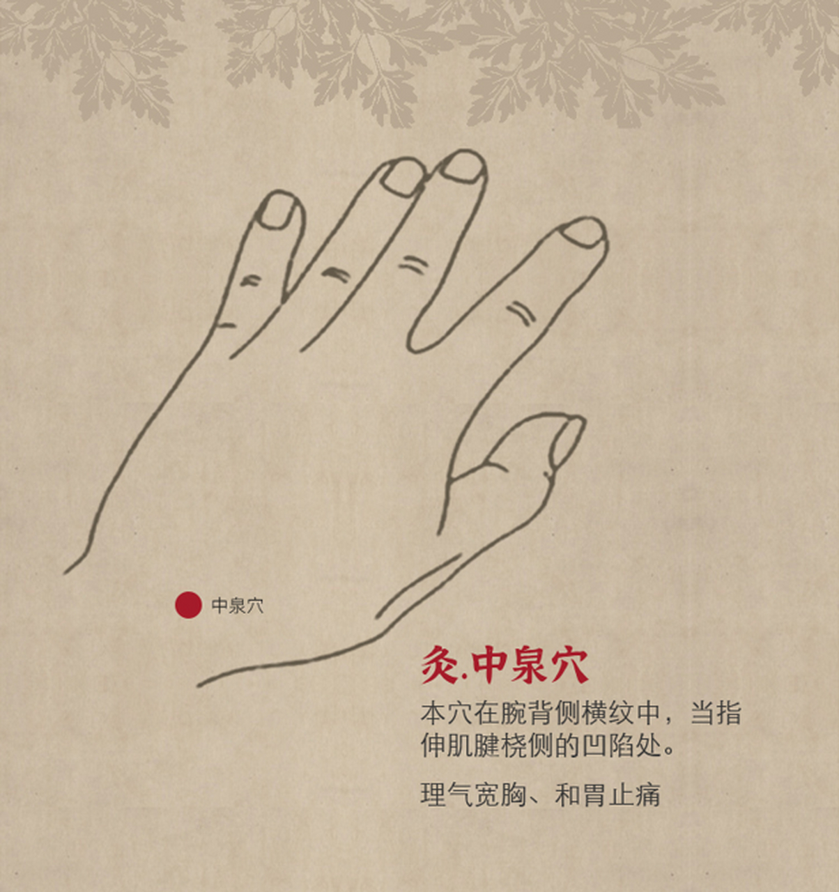 中泉穴具有止咳平喘,理气宽胸,和胃止痛的功效.