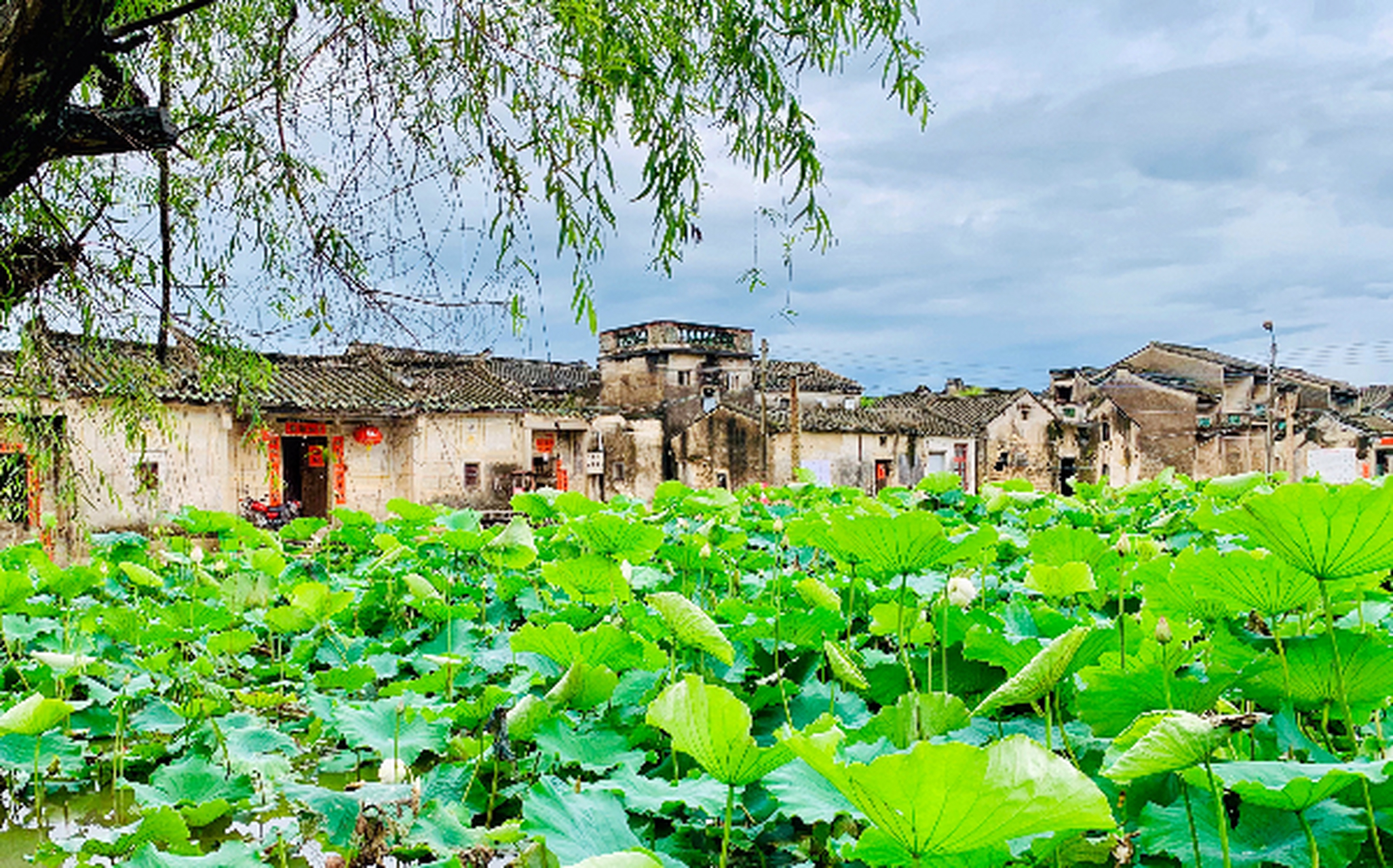 潮州市湘桥区图片