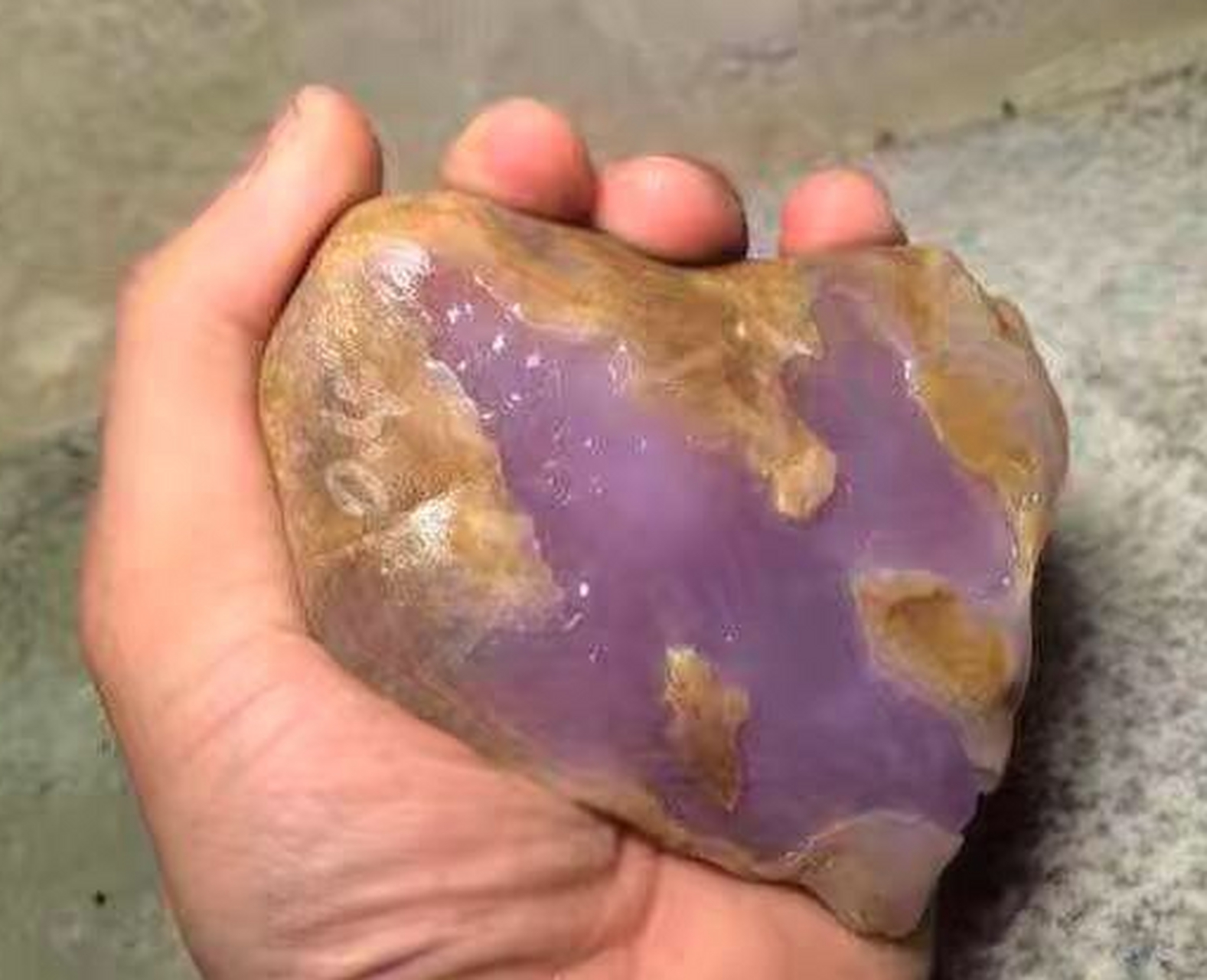 紫罗兰翡翠原石是有收藏价值的.