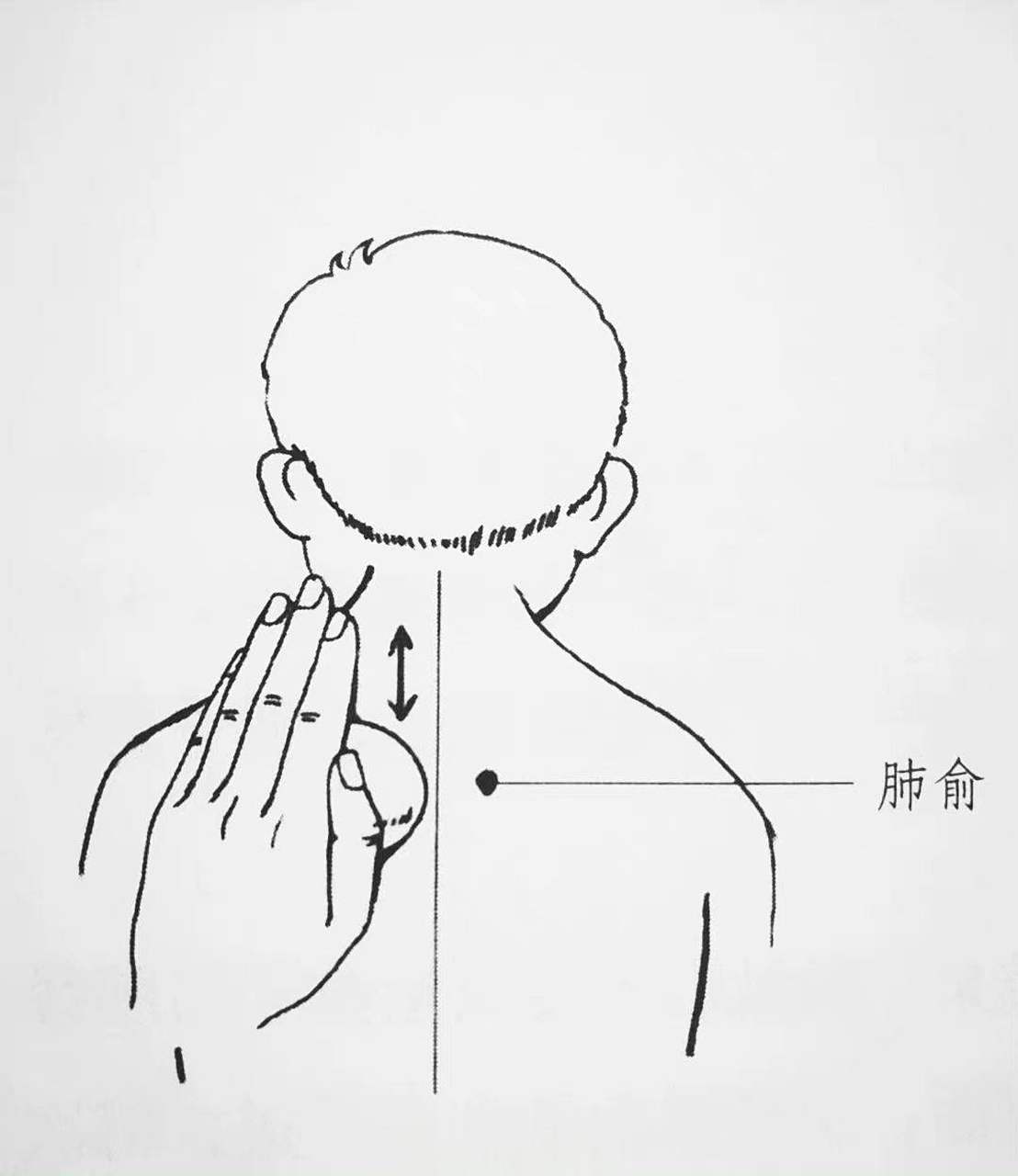 轻轻滚动,每侧一次大约5分钟就可以,这样刺激肺俞穴