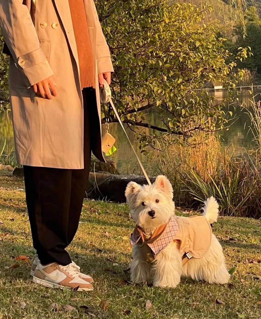 西高地犬舍的魅力  我非常希望有一个专门的西高地犬舍评论区.