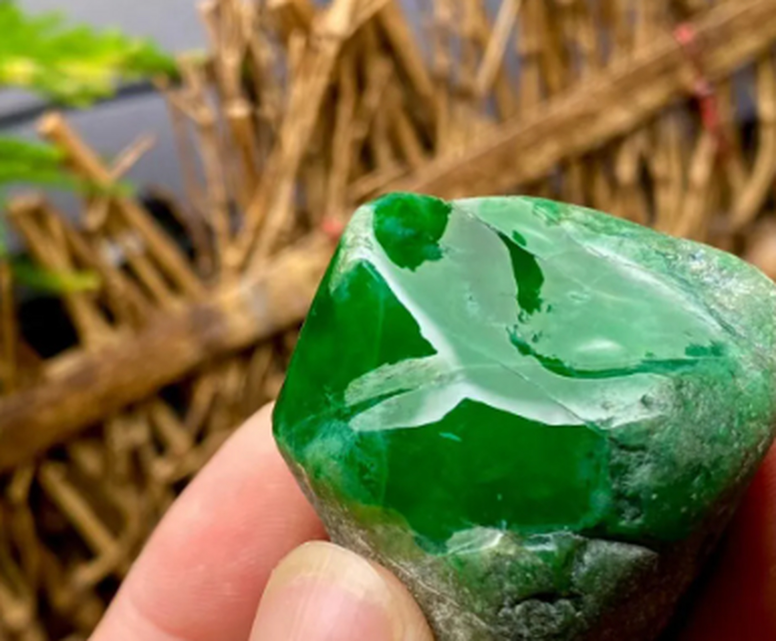 点击头像看直播##翡翠原石#  后江冰阳绿戒面料,重115克!